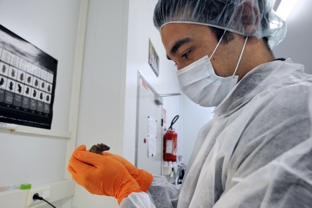 Gli scienziati hanno scoperto l'elisir di giovinezza (forse)