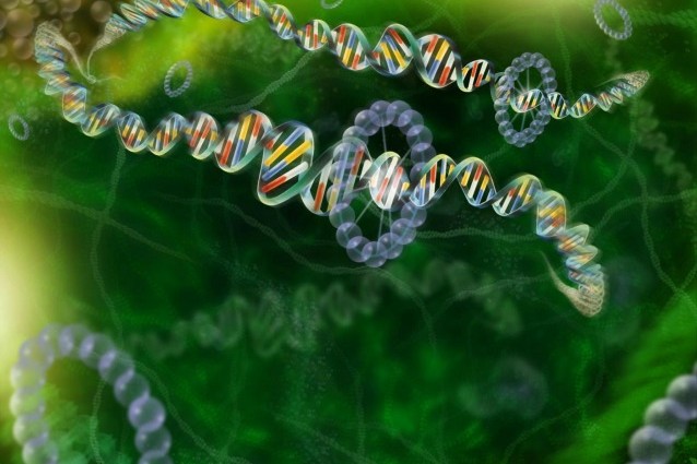 Embrioni umani modificati resistenti all’HIV