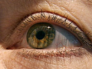 Creata con le staminali la prima retina in provetta