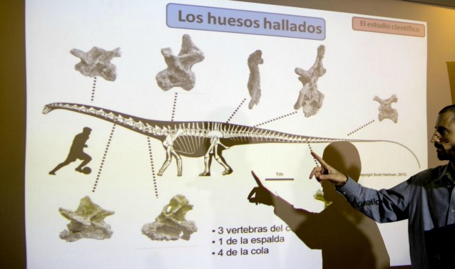 Il paleontologo Pablo Gallina illustra in conferenza le peculiarità del nuovo animale scoperto