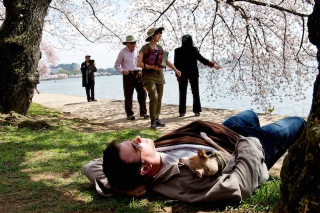 Dormire con un cane significa condividere (Foto Getty Images)