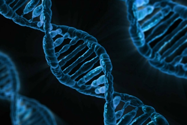Tutti i segreti del DNA dei sardi