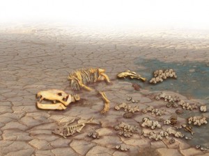 extinction