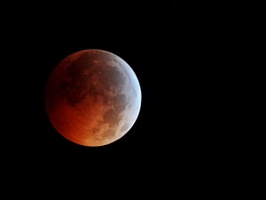 A picture taken in Manassas, Virginia sh