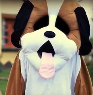 Il Cane