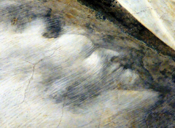 Nascosto per otto secoli ed individuato dalla medievista Chiara Frugoni, è un diavolo che emerge dalle nuvole in un affresco di Giotto nella basilica superiore di San Francesco ad Assisi.