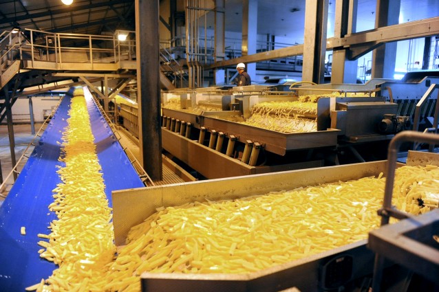 La prima patata modificata per uso alimentare, geneticamente protetta dalla peronospora, è all'esame dell'Unione Europea dopo la richiesta della multinazionale Basf di coltivarla e commercializzarla. E i consumatori cosa ne pensano