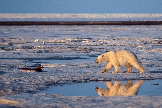 La colpa di tutto, forse, risiede nella crisi ma, sebbene gli scienziati continuino ad avvertire sui rischi che sta correndo il nostro pianeta, l'allarme per il riscaldamento globale sembra sempre più lontano, al punto che un paese come il Canada ha addirittura annunciato ufficialmente il suo ritiro dal protocollo di Kyoto.