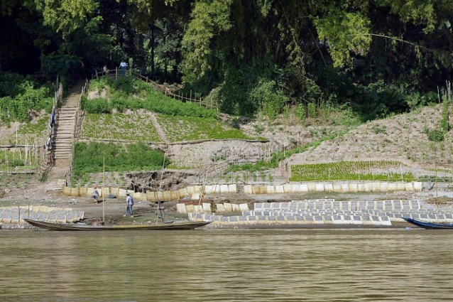 Le popolazioni della regione del bacino Mekong le conoscevano già, ma per la scienza sono un'assoluta scoperta: oltre 200 specie tra piante, rettili, pesci, anfibi, mammiferi ed uccelli, osservati nel 2010 e presentati nell'ultimo rapporto del WWF. Purtroppo su molte di esse già si allunga l'ombra nefasta dell'estinzione.