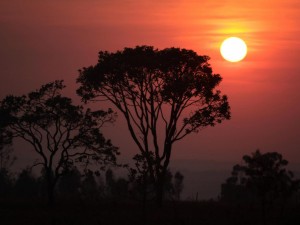 Brasile, il piano segreto di Bolsonaro per cementificare l’Amazzonia