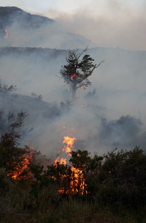 Dopo aver distrutto una parte del Parco Nazionale Torres del Paine, l'incendio che ha fatto bruciare la Patagonia per cinque giorni è stato stabilizzato, le autorità ritengono che nelle prossime ore saranno domati gli ultimi focolai, ma i danni sul territorio potranno essere sanati solo nel giro di cinquant'anni.