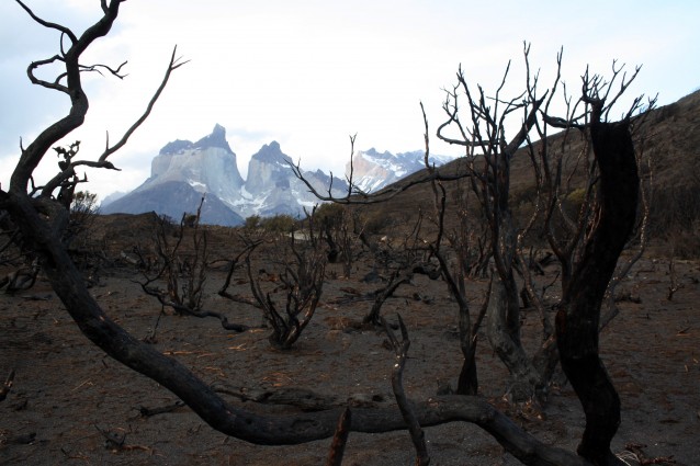 Dopo aver distrutto una parte del Parco Nazionale Torres del Paine, l'incendio che ha fatto bruciare la Patagonia per cinque giorni è stato stabilizzato, le autorità ritengono che nelle prossime ore saranno domati gli ultimi focolai, ma i danni sul territorio potranno essere sanati solo nel giro di cinquant'anni.