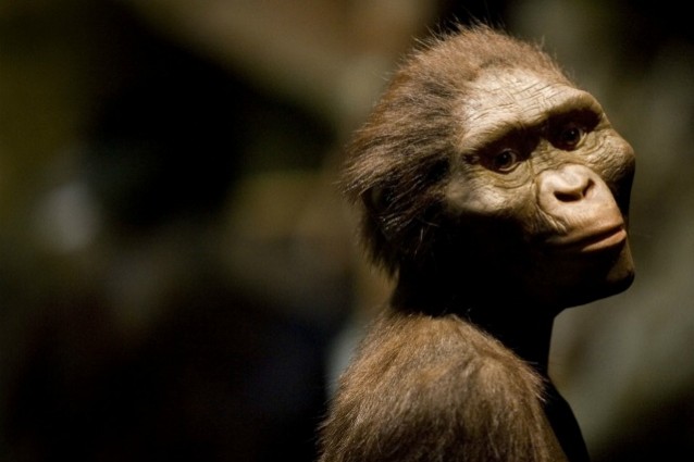 Quando il nostro diretto antenato Australopitecus Afarensis deambulava già perfettamente eretto si ritrovava a condividere lo spazio con altre specie di ominidi che ancora si arrampicavano sugli alberi. La recente scoperta di un fossile di piede fa luce su quel complesso processo che fu l evoluzione.