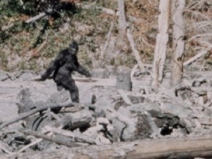 "Il Bigfoot è stato ucciso, ma il suo corpo è stato fatto scomparire"