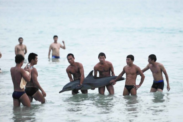 Foto-ricordo col delfino agonizzante: il cetaceo poi muore