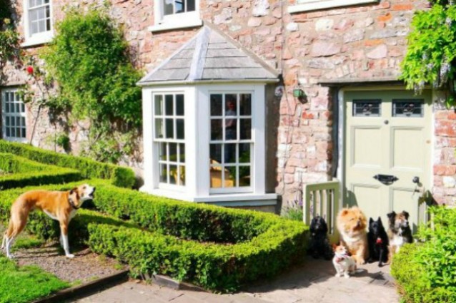 In Inghilterra il primo hotel di lusso per cani