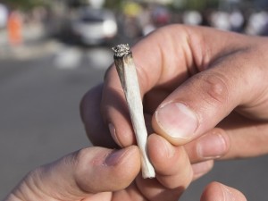 In Italia diminuisce il consumo di droga, ma è allarme cannabis tra i giovani