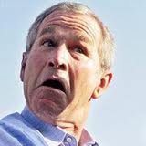 bush