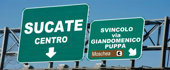 sucate puppa