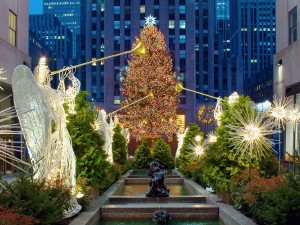 Vacanze di Natale dove