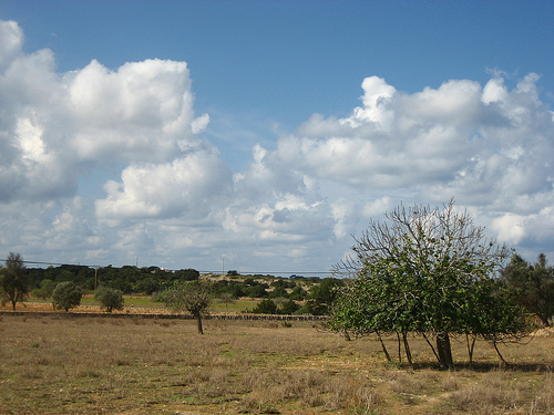 Formentera itinerari