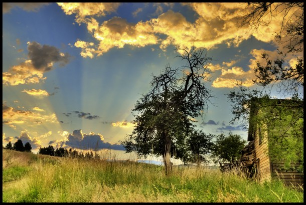 Foto di Charles Knowles