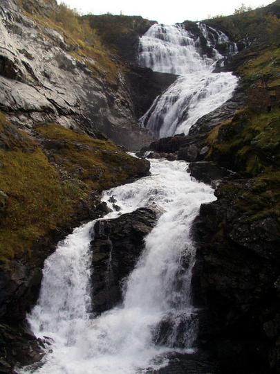 Norvegia