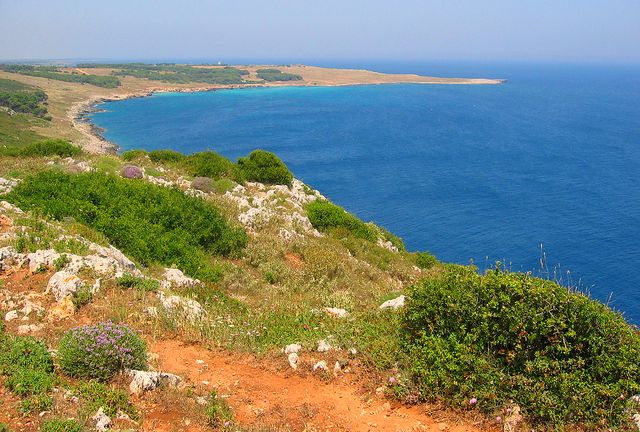 Leuca