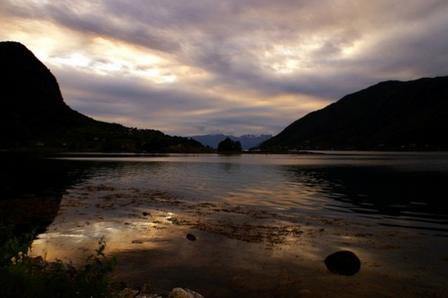 Norvegia