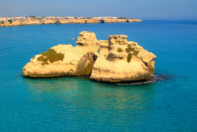 Torre dell'orso
