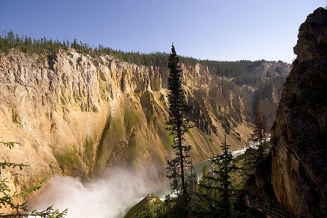grand canyon of the yellowstone