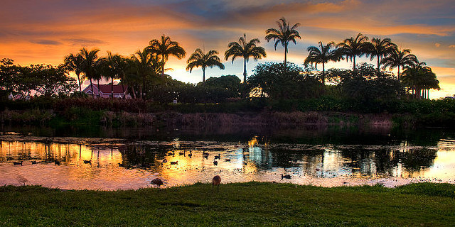 The Lake at Royal Westmoreland