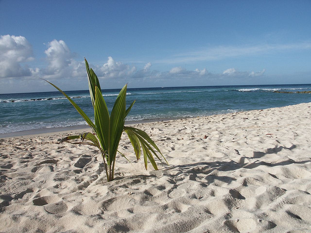 barbados spiagge