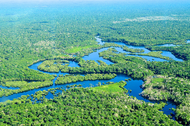 meraviglie foresta amazzonica
