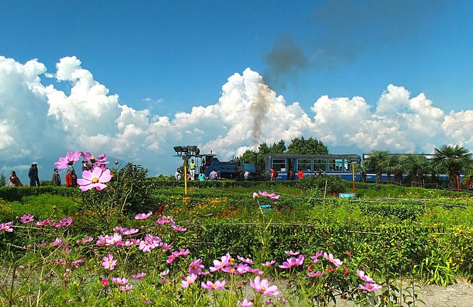 treni Darjeeling_Himalayan_Railway