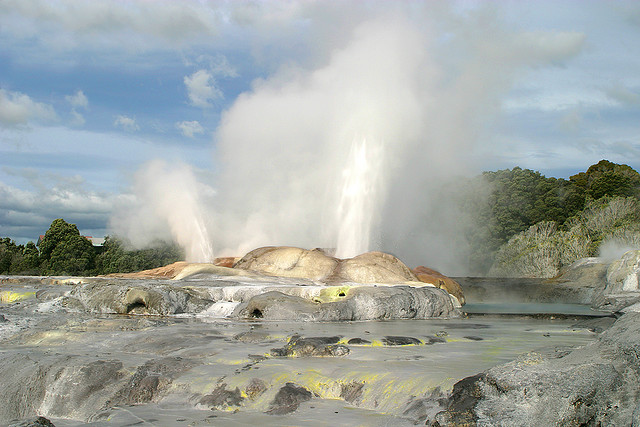 geyser nuova zelanda