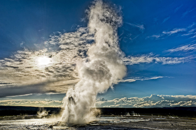 geyser yellowstone white geyser