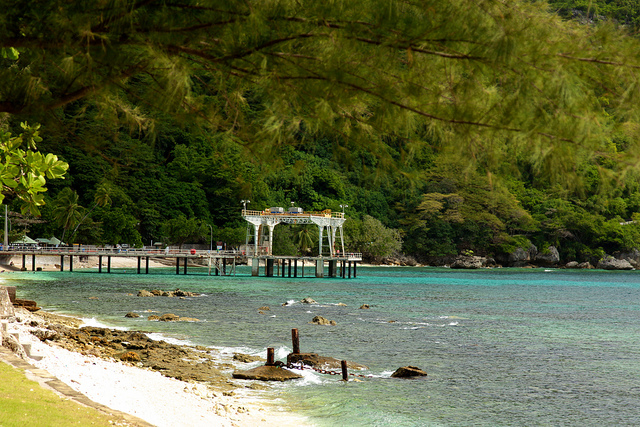 isola di natale flying fish cove