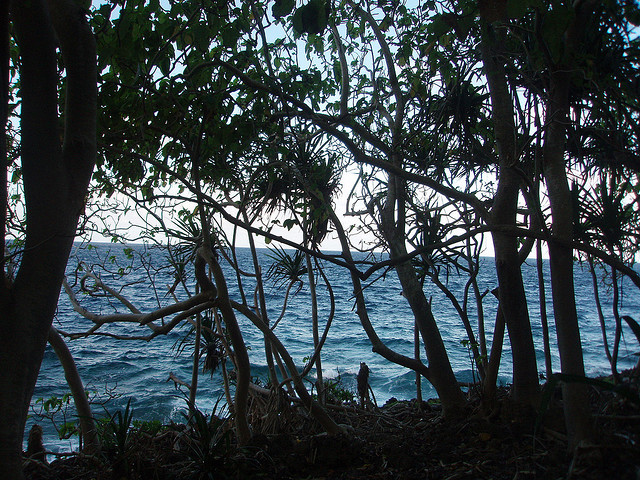 isola di natale tropicale