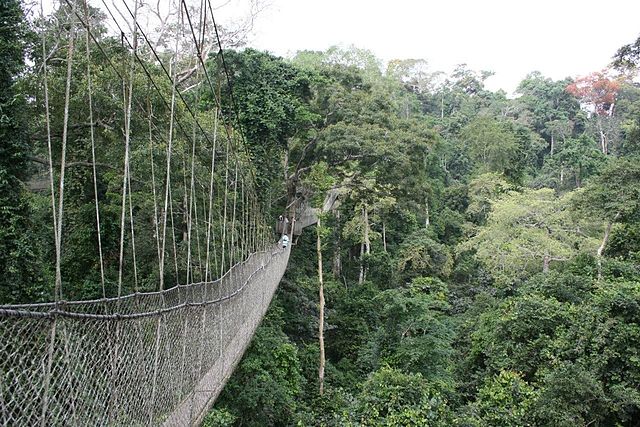 ponti sospesi kakum national park