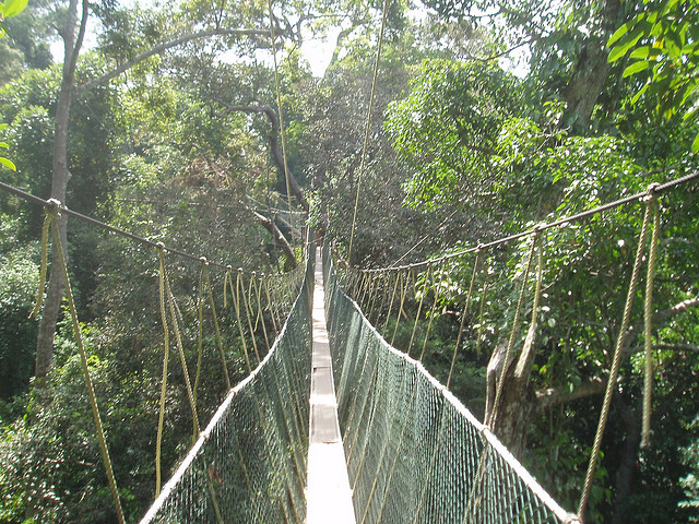ponti sospesi taman negara