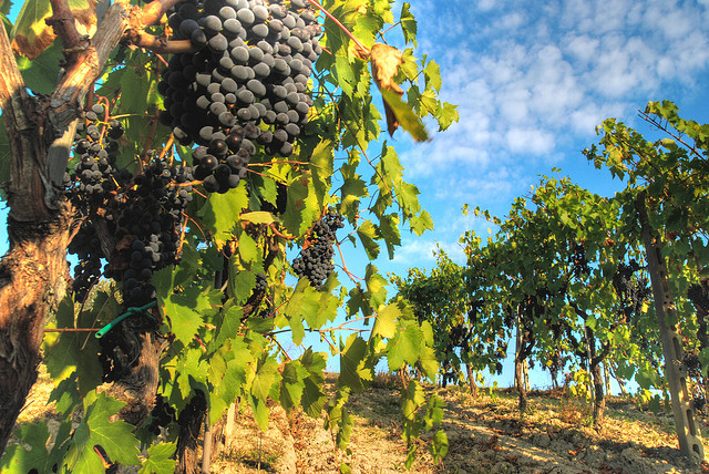 Chianti Toscana
