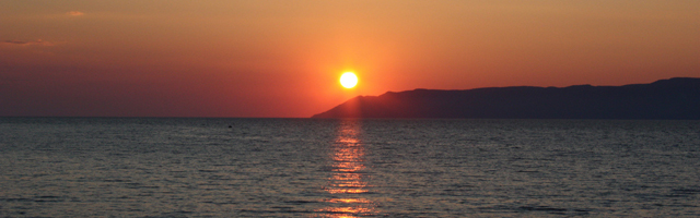 sole