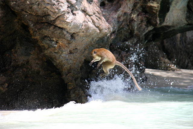 sciammia maya bay