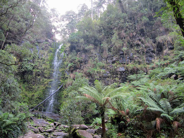 Otway National Park, Erskine Falls