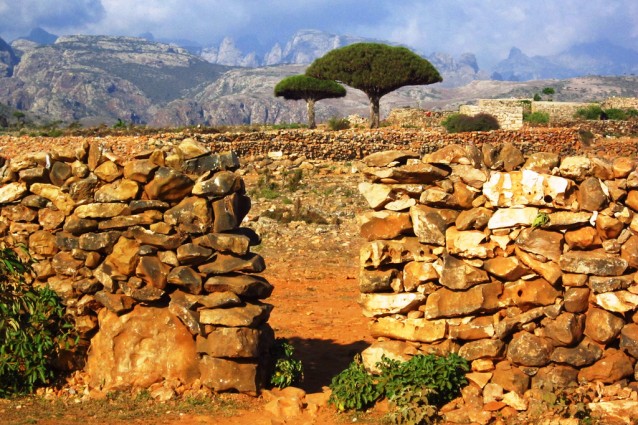 Socotra nello Yemen