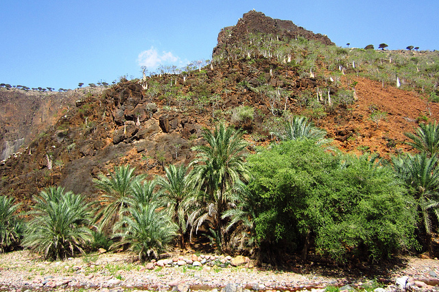 Il Wadi Daerhu