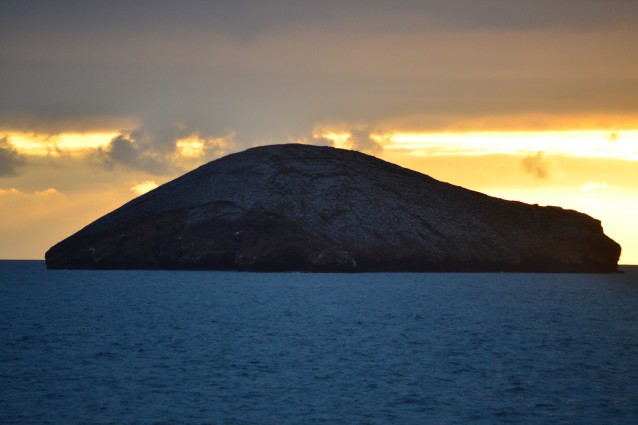 Viaggio alle Galapagos: prezzo e consigli per una vacanza fai-da-te