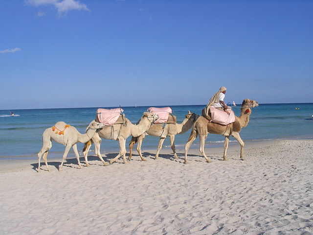 Djerba (Foto di Benoît Prieur)