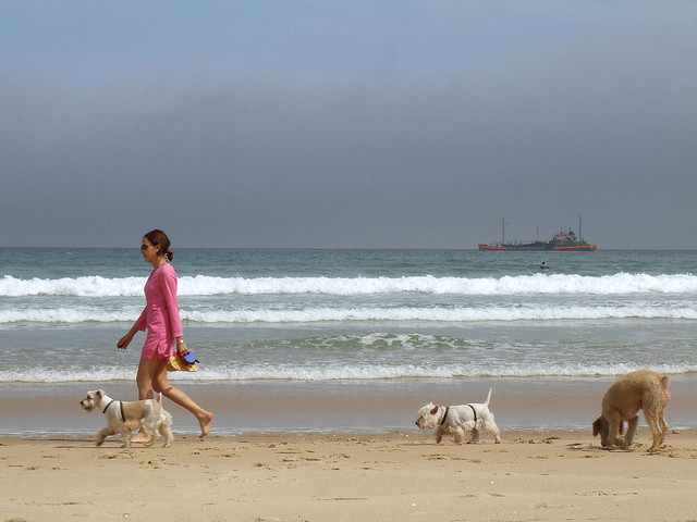 Al mare con i cani (foto di Julio César Cerletti Garcia)